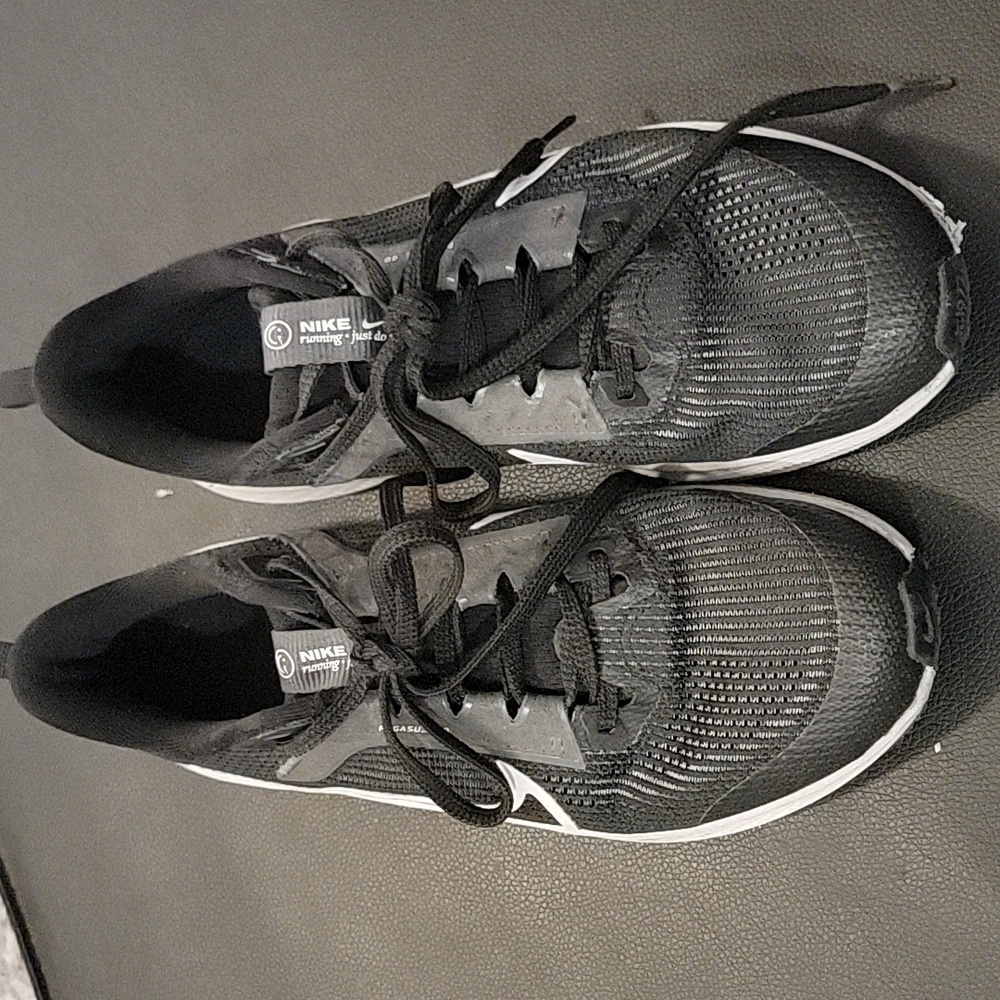 Nike pegasus 40 running shoes